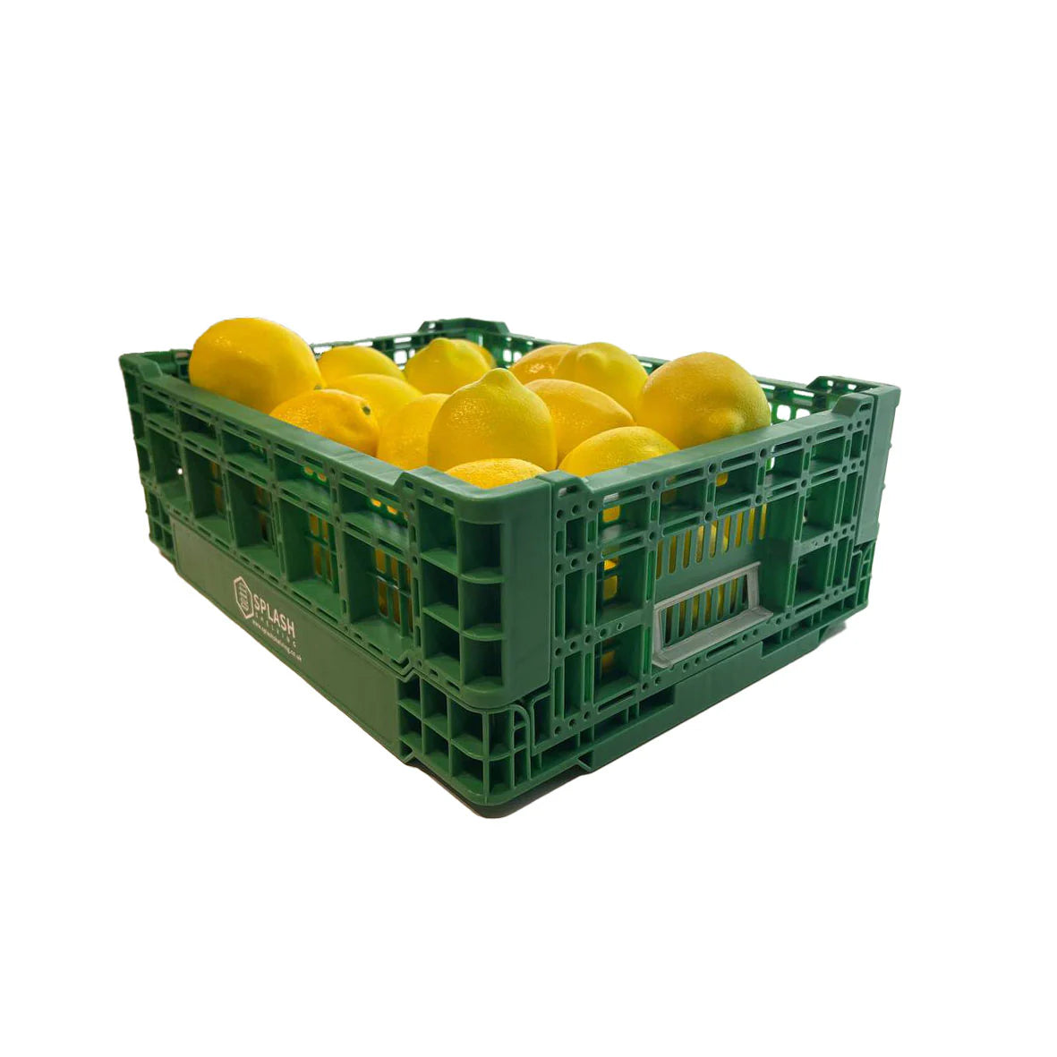 Green Collapsible Vegetable Basket (Big)